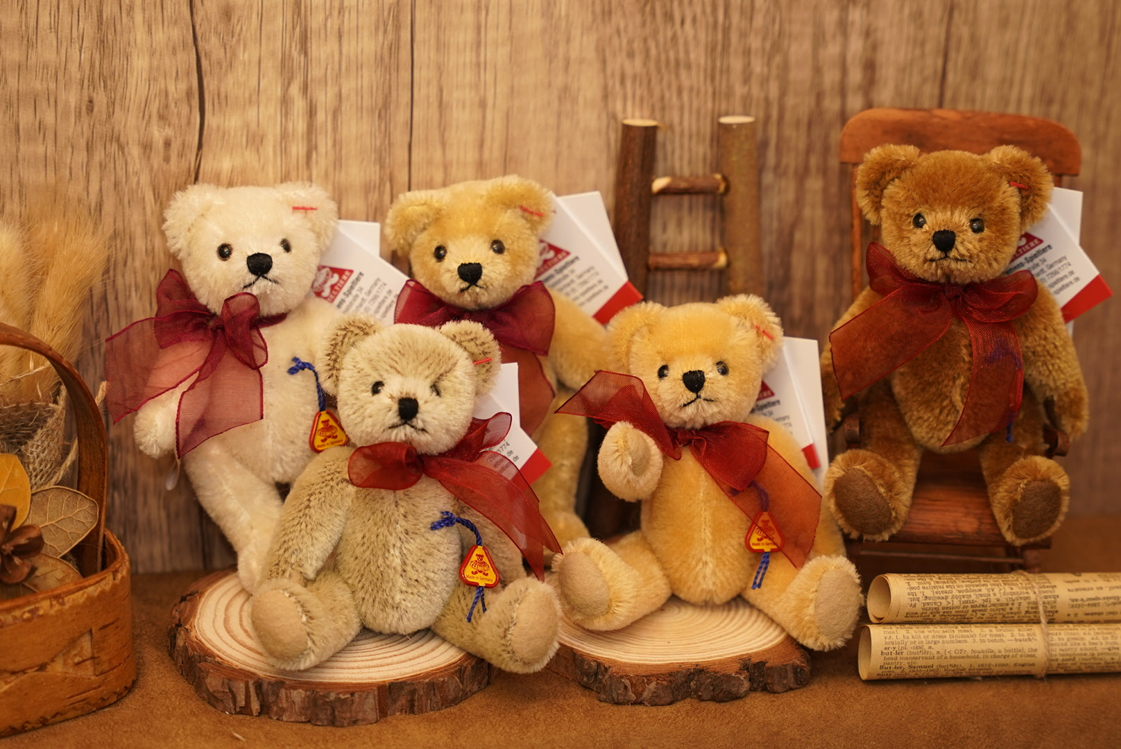 ᴄʟᴇᴍᴇɴꜱ ɴᴏꜱᴛᴀʟɢɪᴀ ᴛᴇᴅᴅʏ 𝟣𝟤.𝟧ᴄᴍ